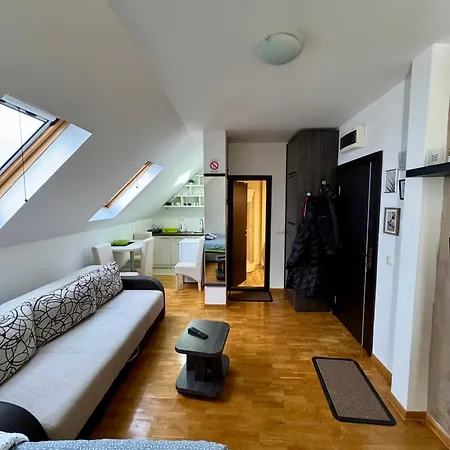 Apartman Andjelin 33 *