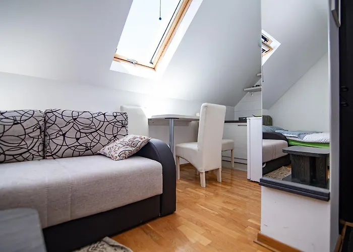 Andjelin 33 * ズラティボール