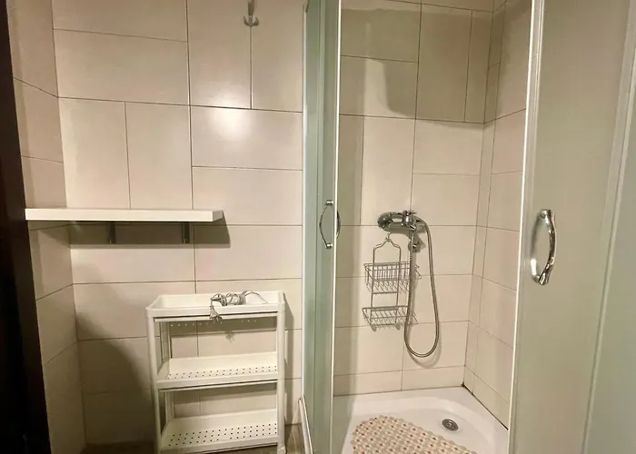 Andjelin 33 * ズラティボール