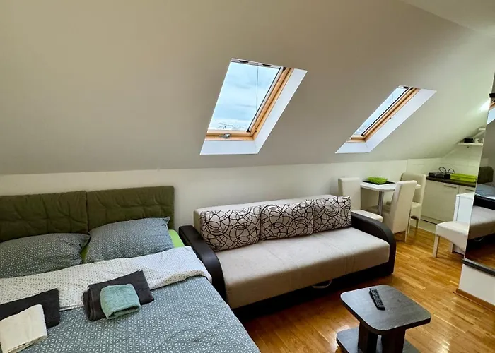 Andjelin 33 アパート ズラティボール